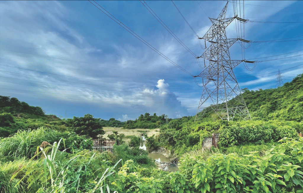 Financial Results: POWERGRID Scales New Heights as Gross Fixed Assets Surpass ₹3 Trillion Mark